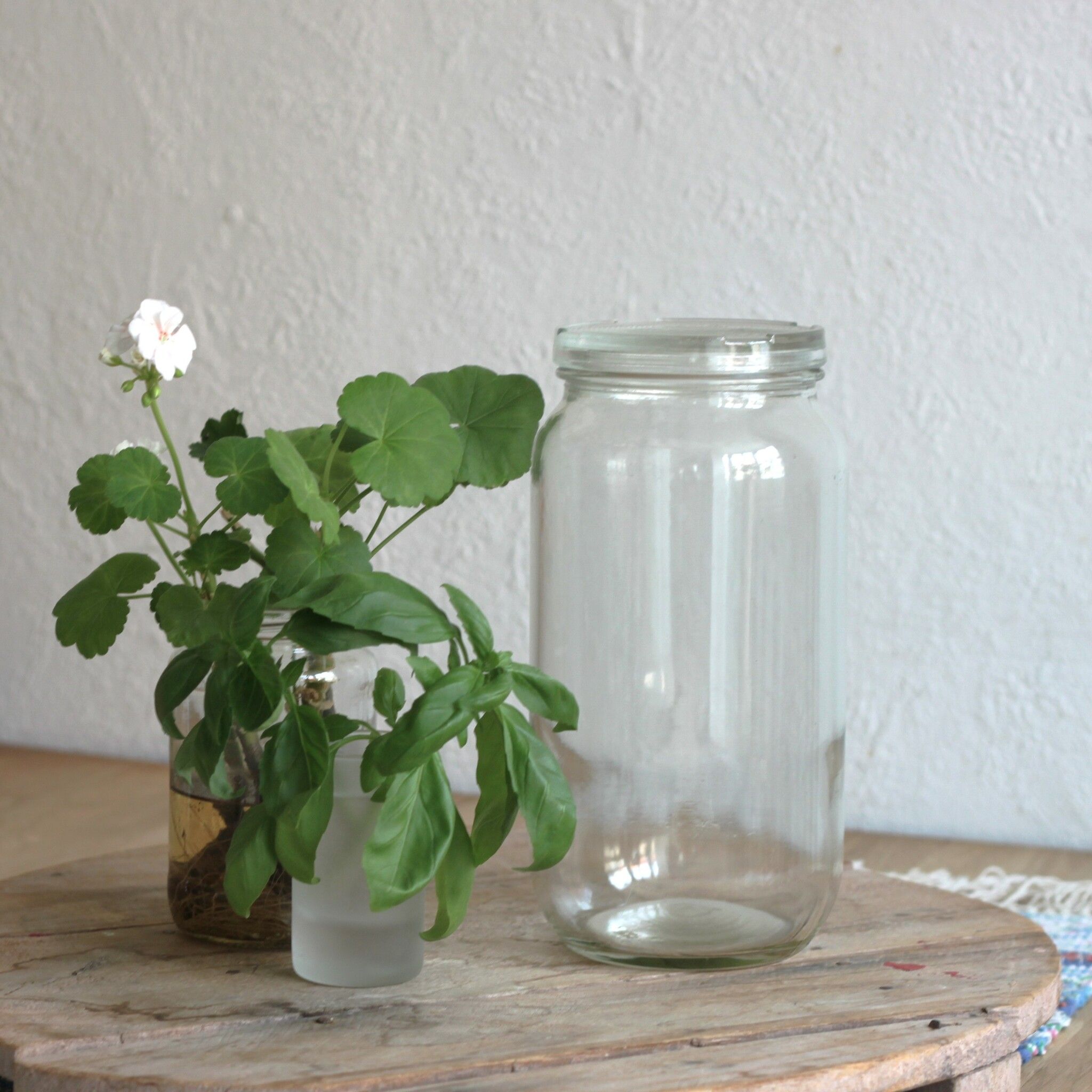 Glasburk - förvaring 2 liter