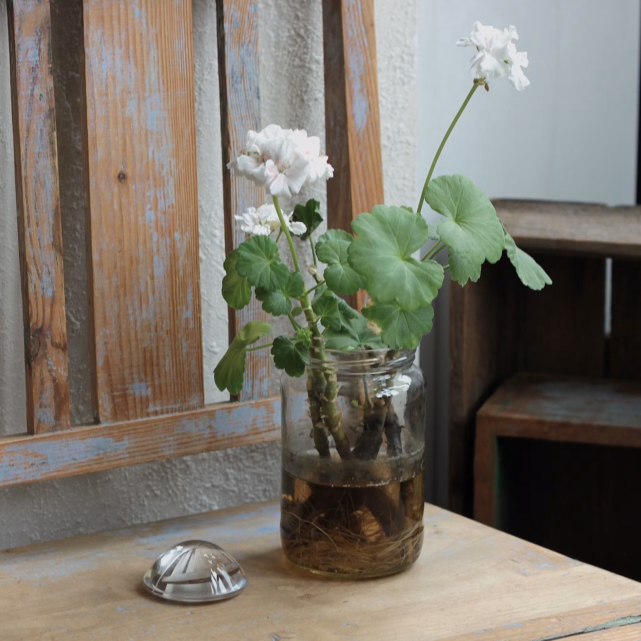 Brevtyngd  - Rund lins i klart glas