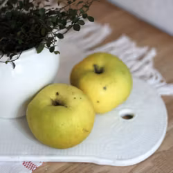 Skärbräda - Vit i porslin