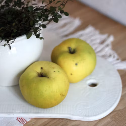 Skärbräda - Vit i porslin