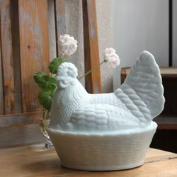 Ägg-gömma - höna vit i mjölkglas