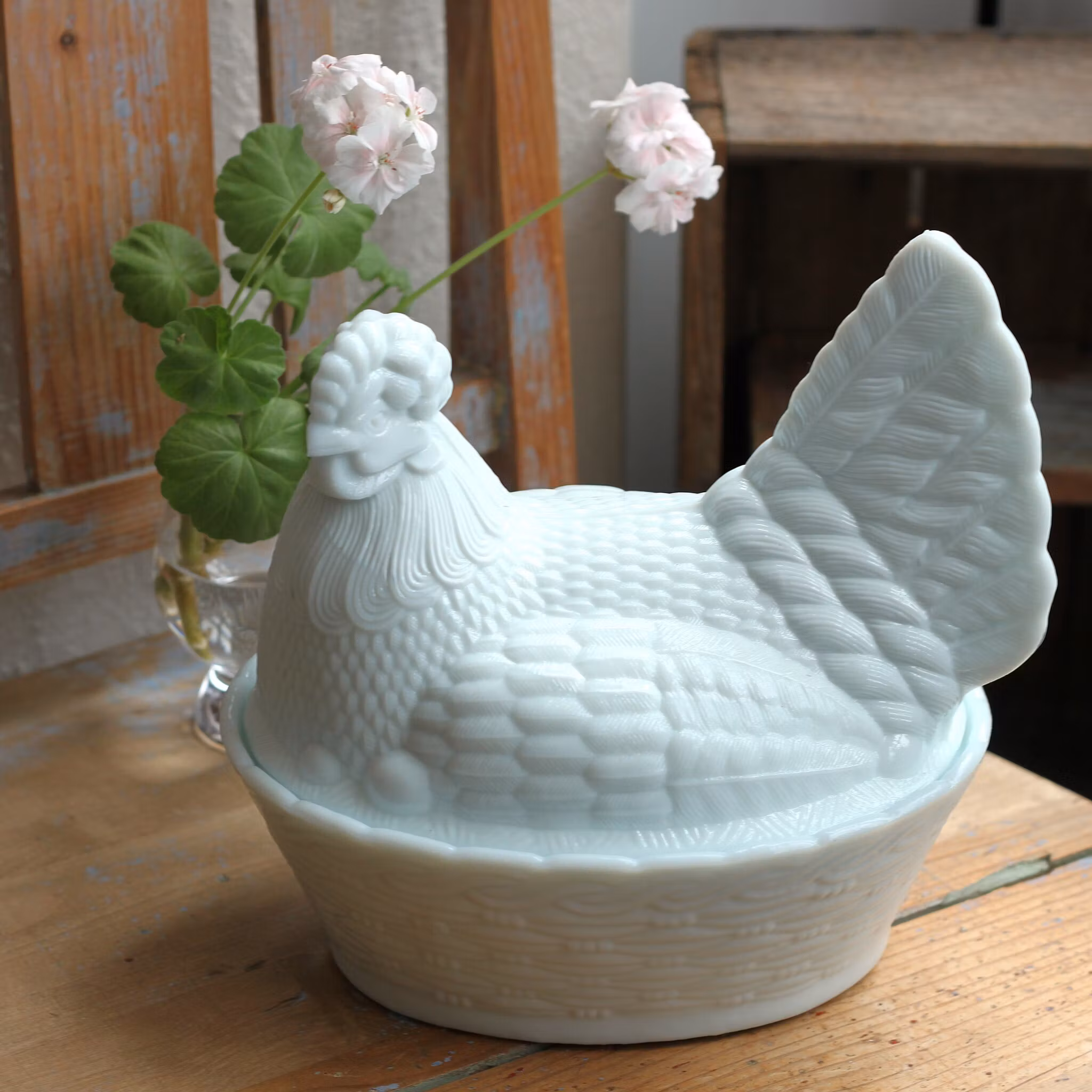 Ägg-gömma - höna vit i mjölkglas