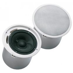EVIDC10.1 EV 10" Sub-bas 100W - Kraftfull takmonterad bas