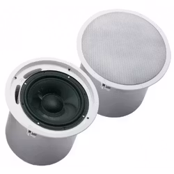 EVIDC10.1 EV 10" Sub-bas 100W - Kraftfull takmonterad bas