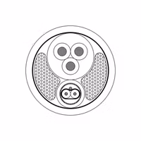 PAC151/1