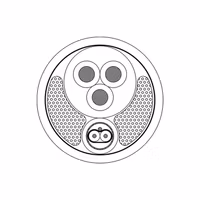 PAC251/1