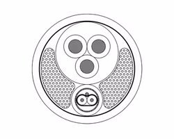 PAC251/1