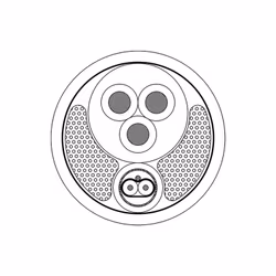 PAC251/1