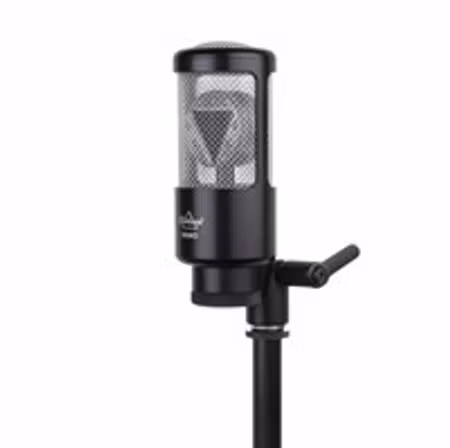 Ehrlund NANO Studio Microphone