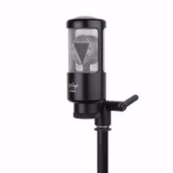 Ehrlund NANO Studio Microphone
