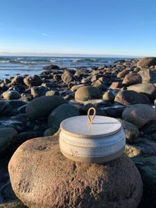SOLVIK burk med lock