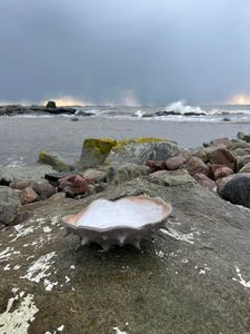 HAVET fat litet
