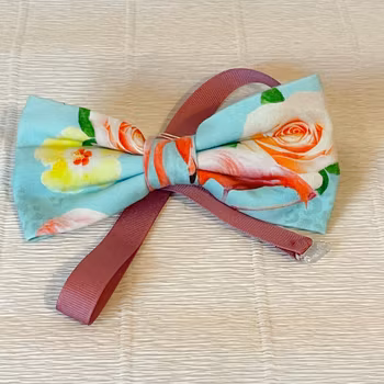 Fluga flamingo
