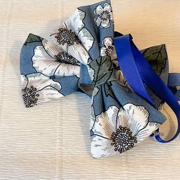 Fluga blomma blå