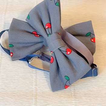 Fluga körsbär