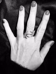 Klo-ring