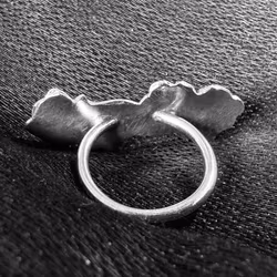 Silverring med ornament