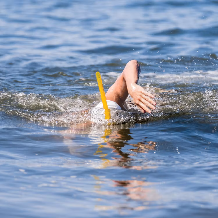 Snorkel Simning Arena Grön Small/Jr