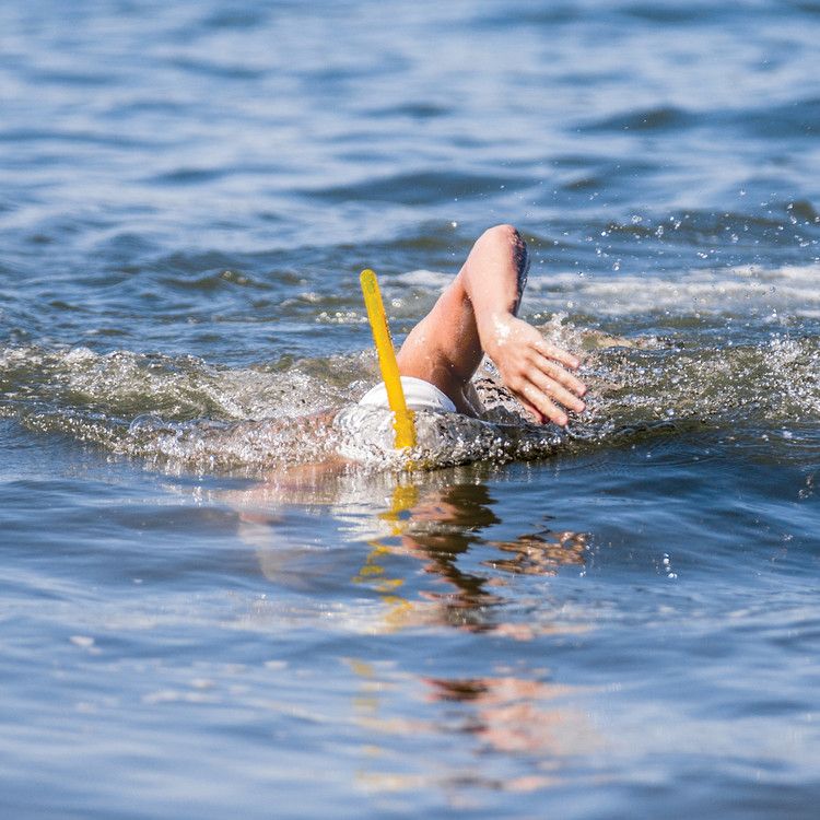 Arena Snorkel Simning Sage "Swim Pro III"