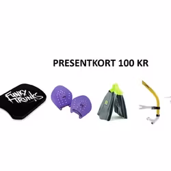 PRESENTKORT 100 kr