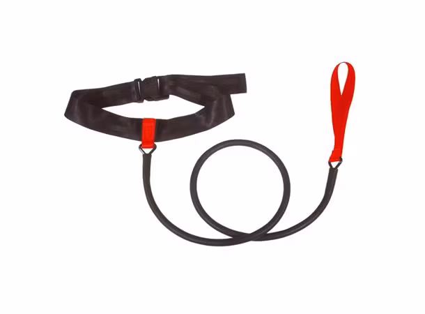 Strechcordz Short Belt