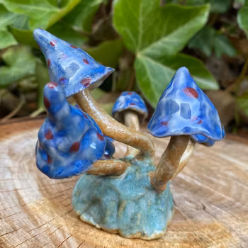 Små prickiga svampar