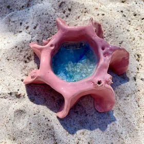 Ljuslykta/skål korall