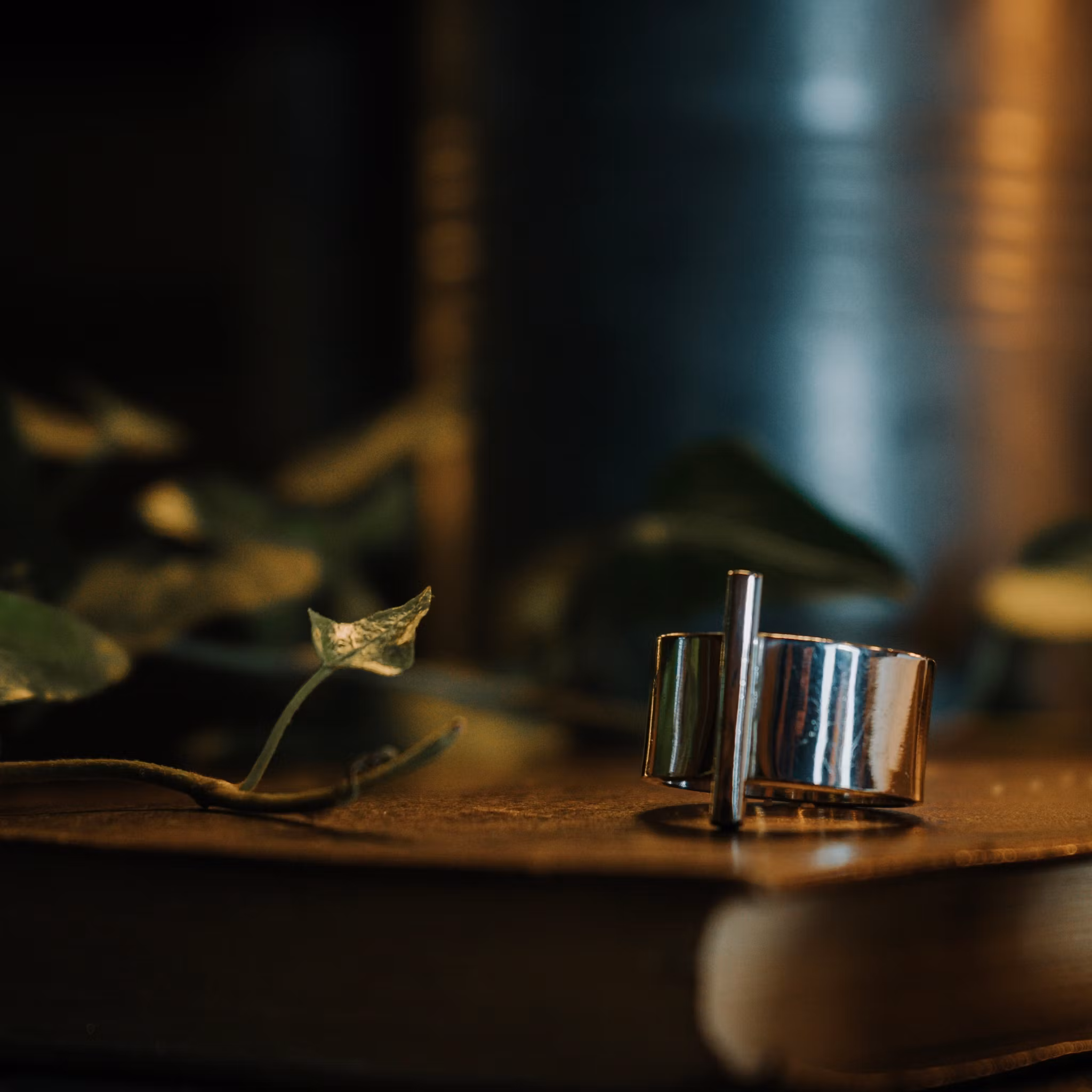 Ring Rod