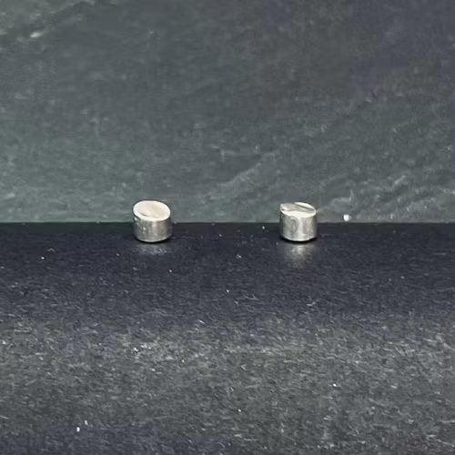 Örhänge Plug