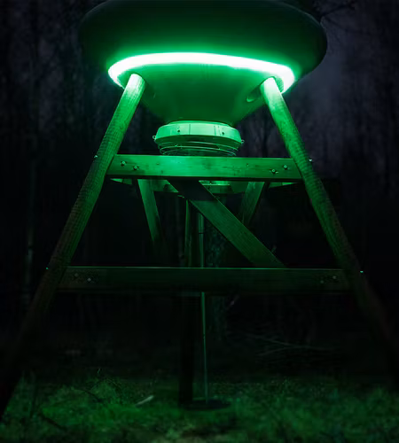 Ledbelysning
