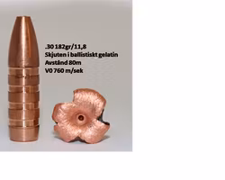 CopperBear 7,62mm (.30) 184gr EXHBT