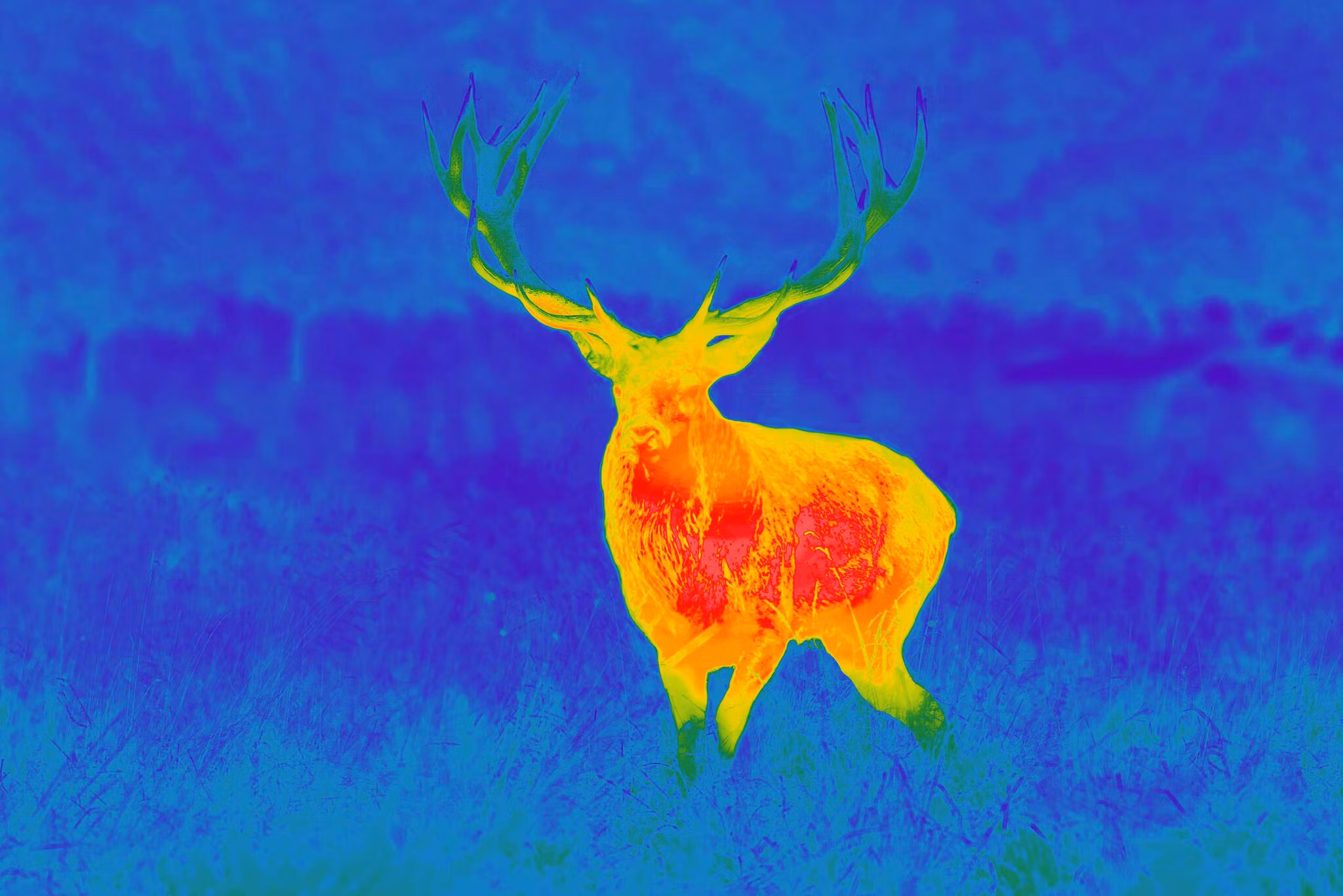 GPO SPECTRA TI35 THERMAL