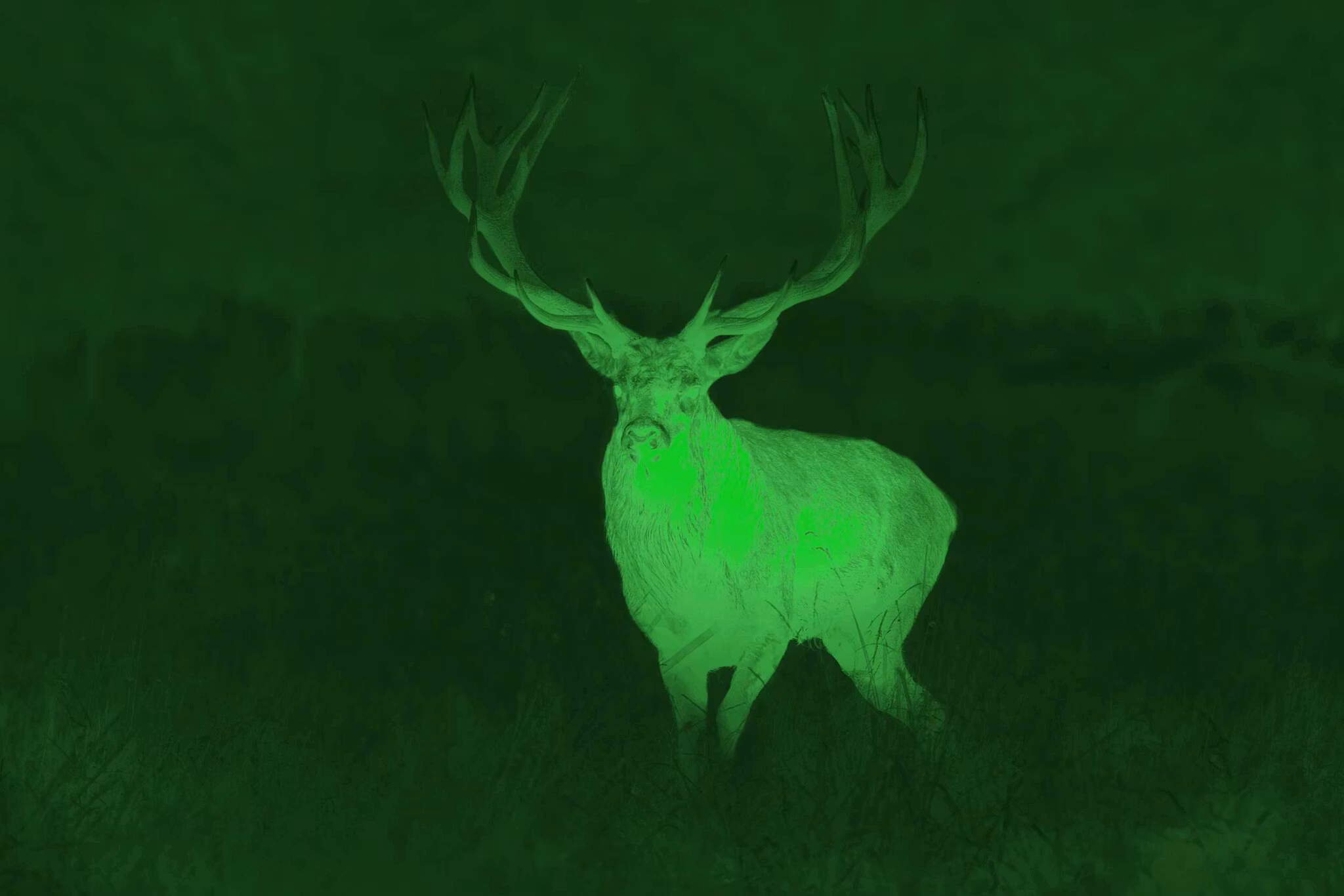 GPO SPECTRA TI35 THERMAL