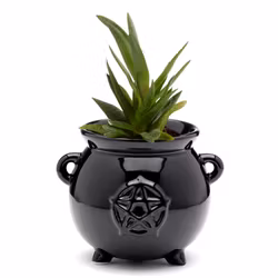 Blomkruka - Witches Cauldron