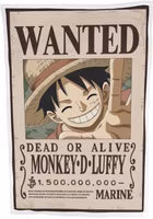 One Piece filt - Luffy Wanted