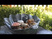 Ensemble fontaine Mr Fredrik avec grenouille en bronze, 06 cm, pompe, tuyau, incl. expédition