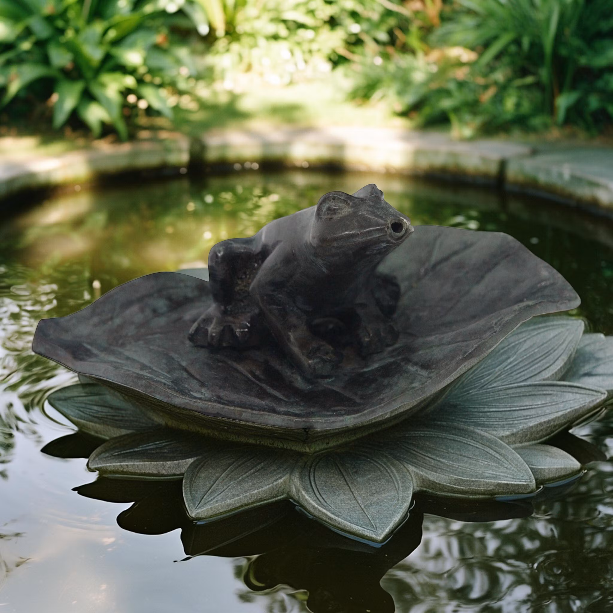 Small fountain frog sitting on a water lily leaf from Mr Fredrik