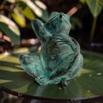 Brunnen, Frosch, in Bronze, 15 cm, auf dem Rücken liegend von Herrn Fredrik