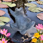 Brunnen, Frosch, in Bronze, 30 cm, auf dem Rücken liegend, von Mr Fredrik