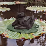 Springbrunnen, Frosch, in Bronze, braun, auf Blättern ruhende Hand von Mr Fredrik