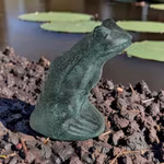 Aufrecht sitzender Brunnenfrosch mit schuppigem Rücken