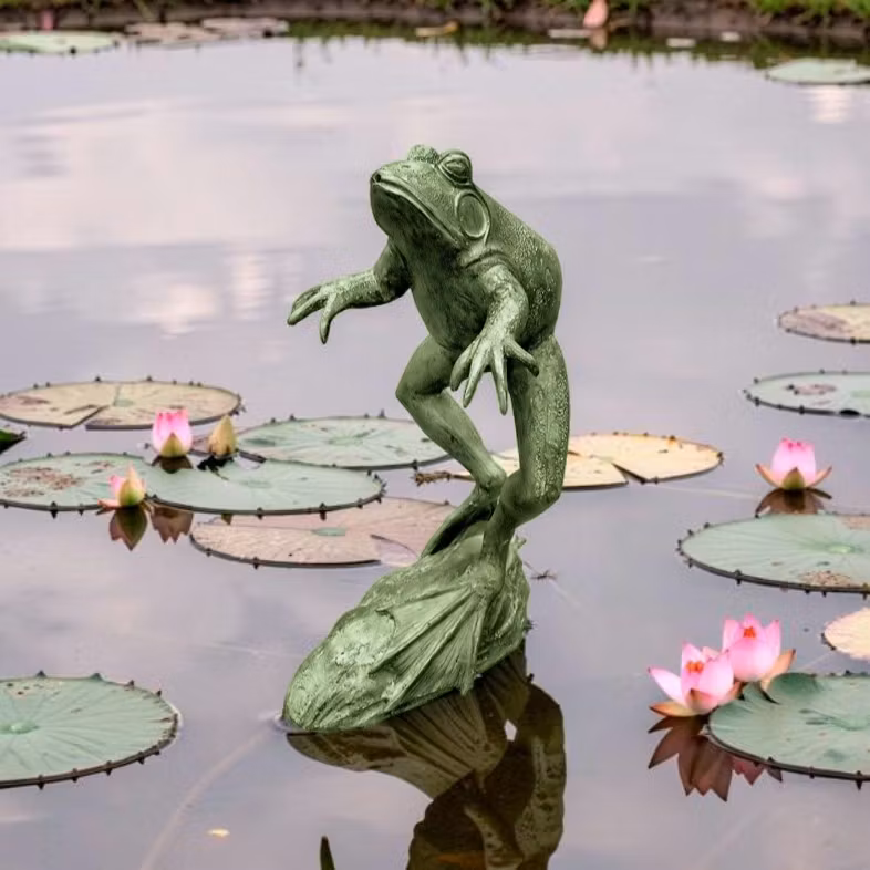 Fountain, frog, jumping