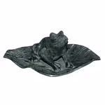 Groda på näckrosblad som fontän