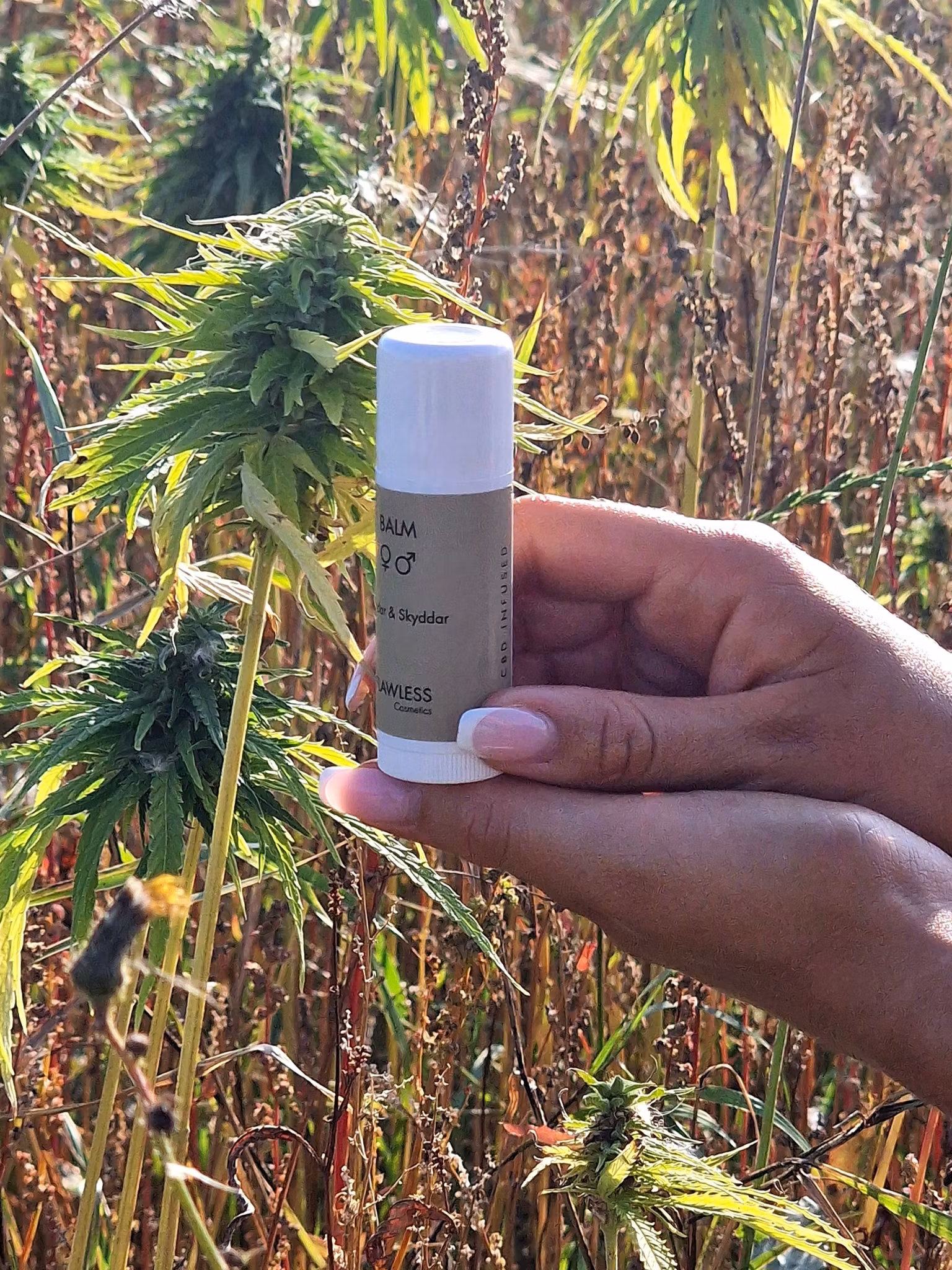 CBD Balm