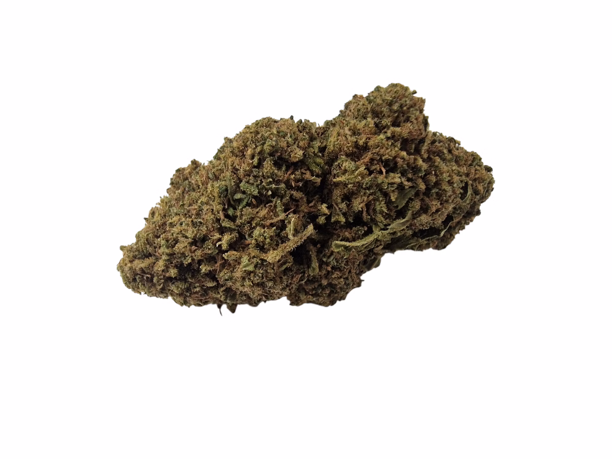 Hampablommor "Gorilla Glue"