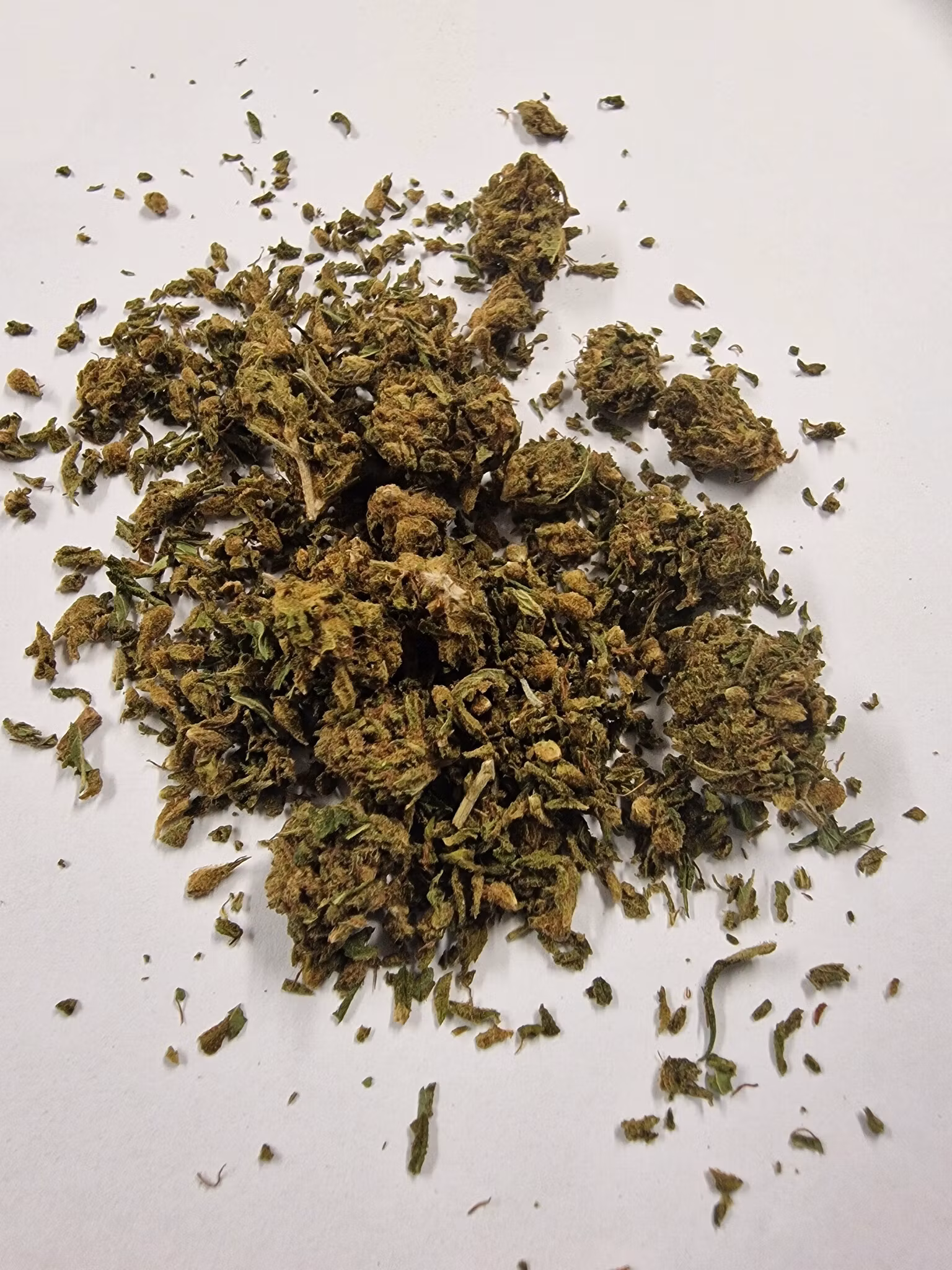 Hampablommor Gelato 41- smulor 20g