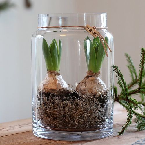 Glasvas rak mellan ERNST