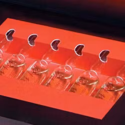 Dikson StamiKER NEWGEN Deep Treatment 6 ampoules of 10 ml