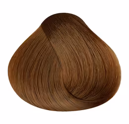 Dikson färg 120 ml  7.00