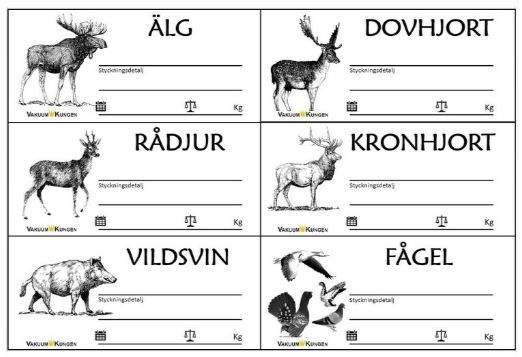 VakuumKungen